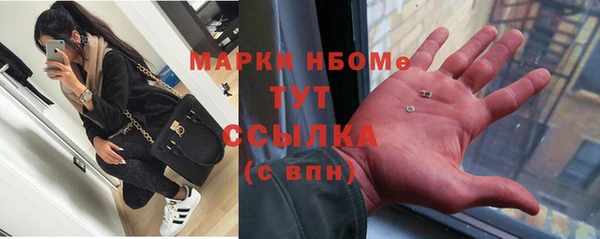 хмурый Горняк