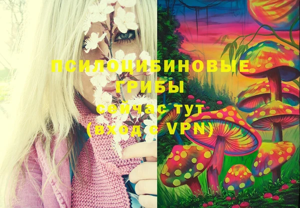 прущий лед Горнозаводск