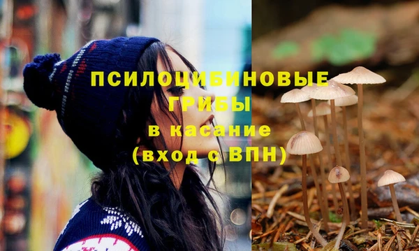 мет Горно-Алтайск