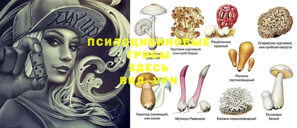 прущий лед Горнозаводск