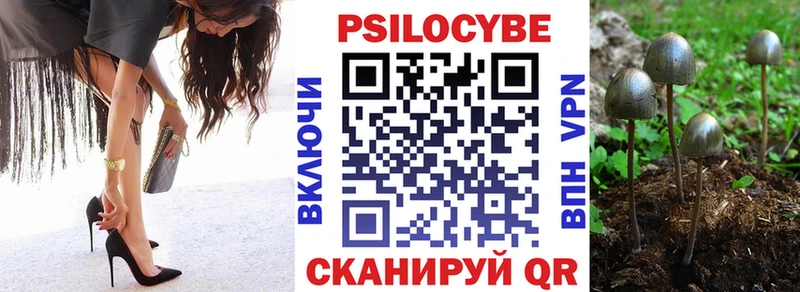 Купить закладки  Шенкурск  Псилоцибиновые грибы прущие грибы 